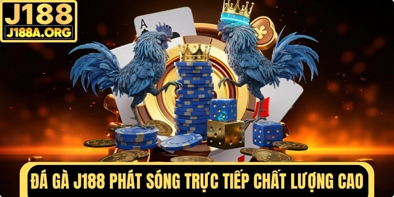 Đá Gà J188 phát sóng trực tiếp mỗi ngày chất lượng cao